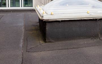 disadvantages of Salterton flat roofs