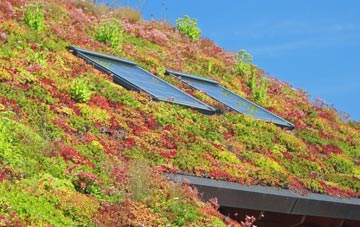 Salterton living roof systems