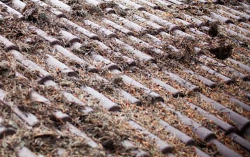 Salterton roof cleaning companies