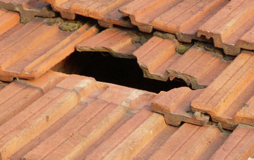 roof repair Salterton, Wiltshire