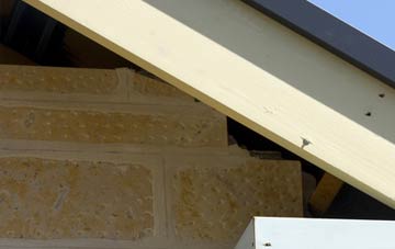 soffit repair Salterton
