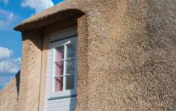 Salterton thatch roof disadvantages