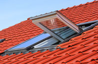 Salterton roof window