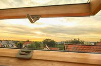 rated Salterton roof window companies